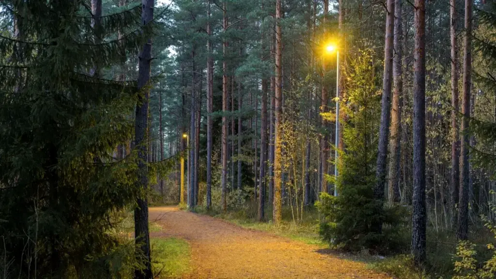 Luontoystävällinen valaistus Porin Isomäen kuntoradalla
